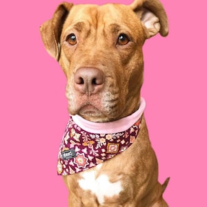 Reversible Dog Bandana: Handmade Tie-On Scarf, Stylish Pet Accessory