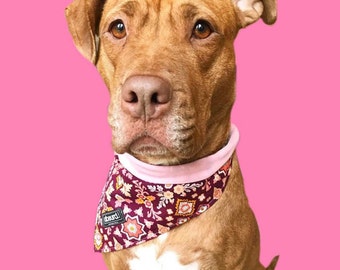 Reversible Dog Bandana: Handmade Tie-On Scarf, Stylish Pet Accessory