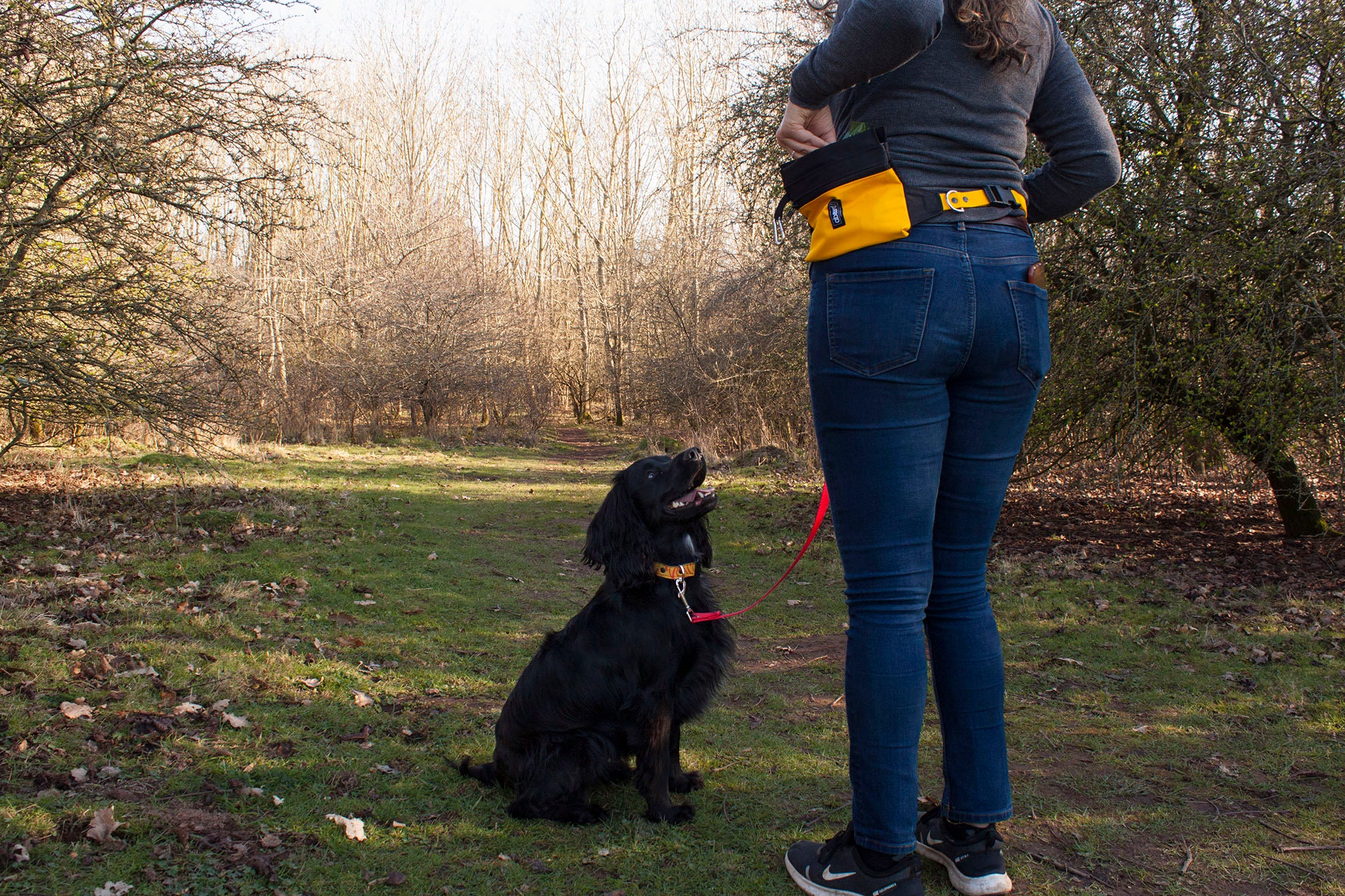 Dog Training Bum Bag Dog Walking Bag Handmade Fanny Pack Etsy Australia