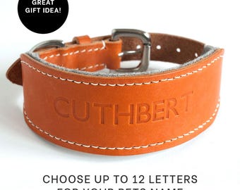Personalized Leather Greyhound Collar: Handcrafted Sighthound Whippet Collar