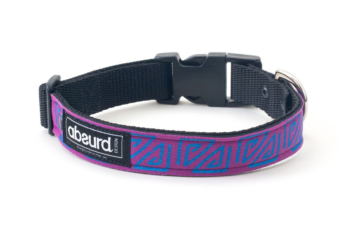 Waterproof Dog Collar | Unique Colourful Patterns | Upcycled Wetsuits | Pool Party | Absurd Design