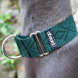 May include: A green dog collar with a silver D-ring and a silver buckle. The collar has a patterned design and the text "abeurd design" is printed on the collar.