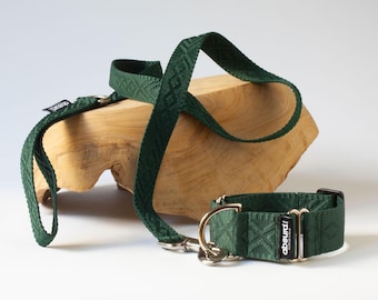 Handmade Martingale Dog Collar & Lead | Training No Pull Collar | Buckle Option | Strong Webbing Leash - Green