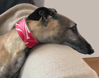 Handmade Leather Sighthound Collar: Wool Felt Lined Dog Gift
