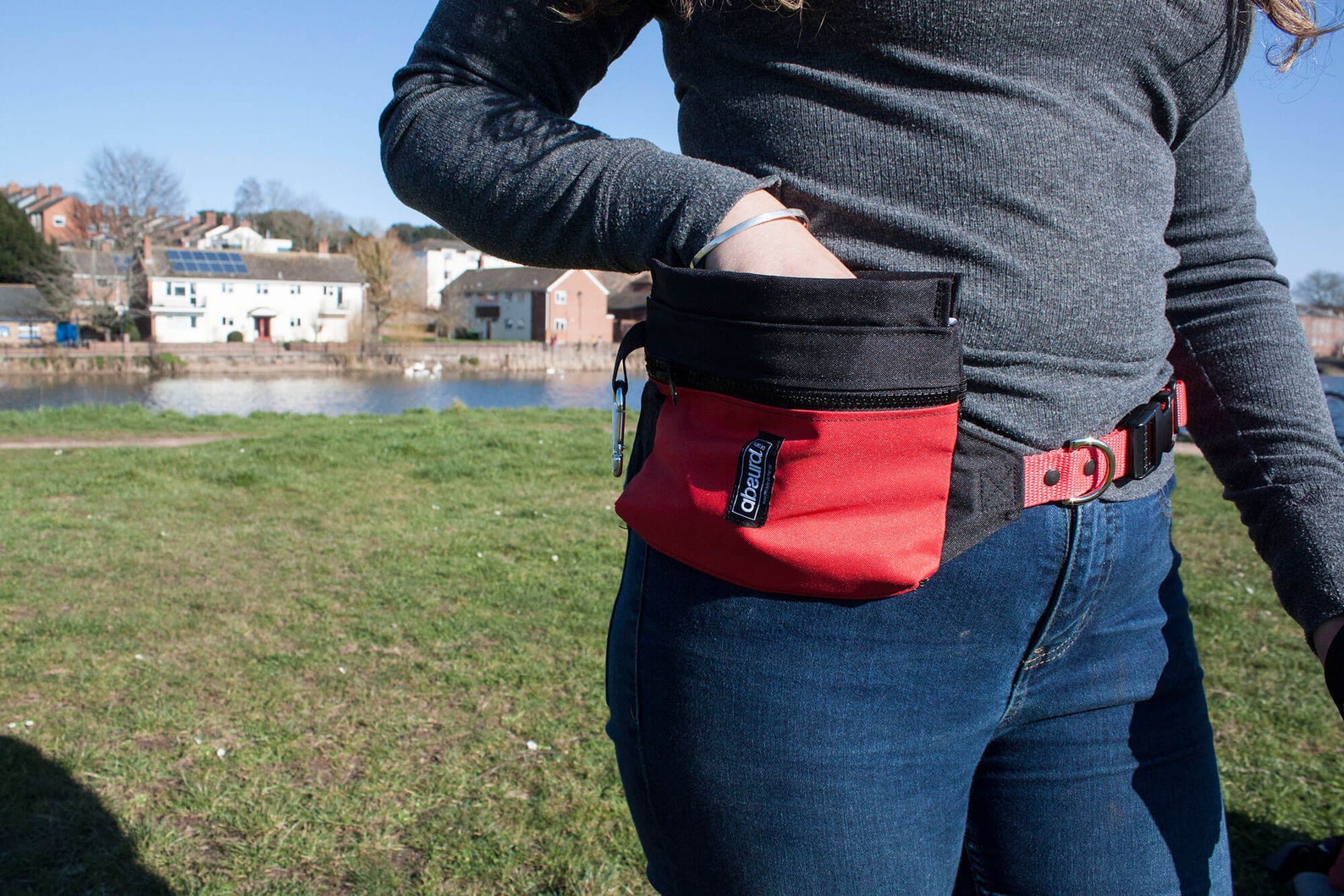 Dog Training Bum Bag Dog Walking Bag Handmade Fanny Pack Etsy