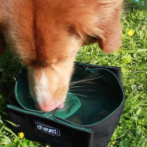 Hundenapf | Zusammenklappbarer Hundenapf | Tragbarer Hundenapf | 100% wasserdicht | Camping Wassernapf für Hunde | Personalisiertes Hundebesitzer Geschenk Bild 3
