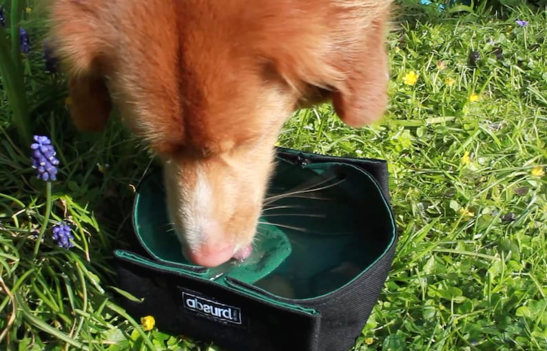 Hundenapf | Zusammenklappbarer Hundenapf | Tragbarer Hundenapf | 100% wasserdicht | Camping Wassernapf für Hunde | Personalisiertes Hundebesitzer Geschenk Bild 3