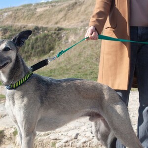 May include: A grey and white dog on a lead with a green and black collar. The dog is being walked by a person wearing a brown coat and blue jeans.