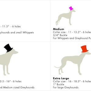 May include: Diagram showing four sizes of dog collars with corresponding measurements and breed recommendations. The collars are illustrated with a dog wearing a hat. The sizes are Small, Medium, Large, and Extra Large. The measurements are in inches.