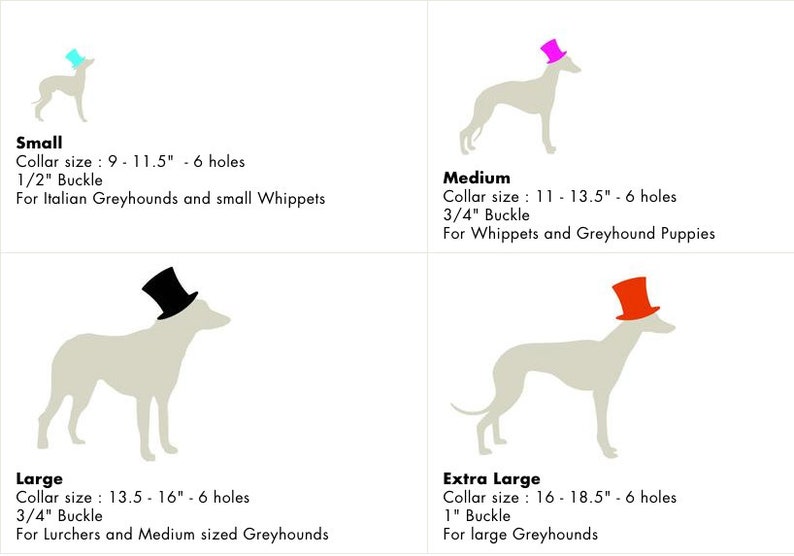 May include: Diagram showing four sizes of dog collars with corresponding measurements and breed recommendations. The collars are illustrated with a dog wearing a hat. The sizes are Small, Medium, Large, and Extra Large. The measurements are in inches.