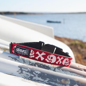 May include: Red dog collar with a white skull and crossbones pattern. The collar has a black buckle and the text "absurd design" is printed on the collar.