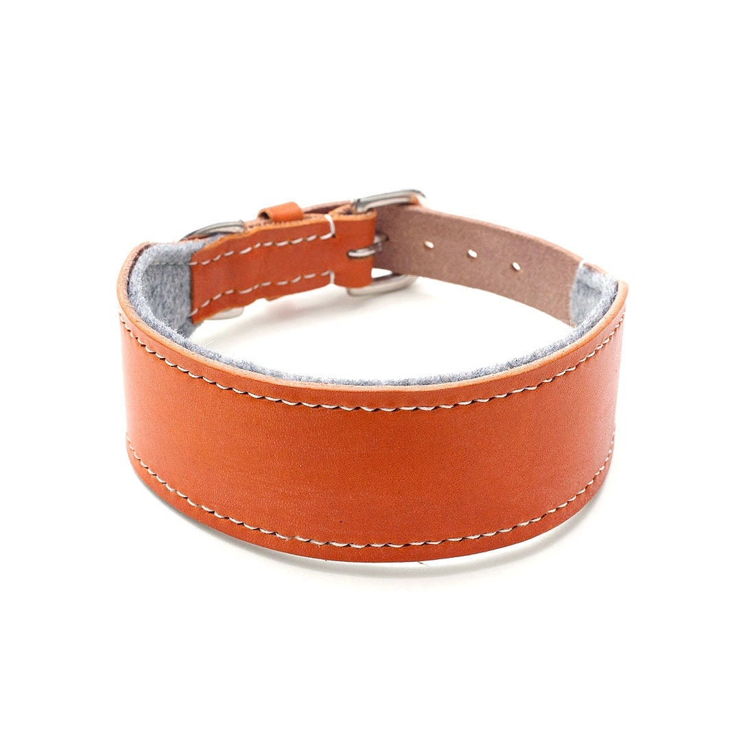 Handmade Oak Bark Leather Sighthound Collar Soft Wool Lining