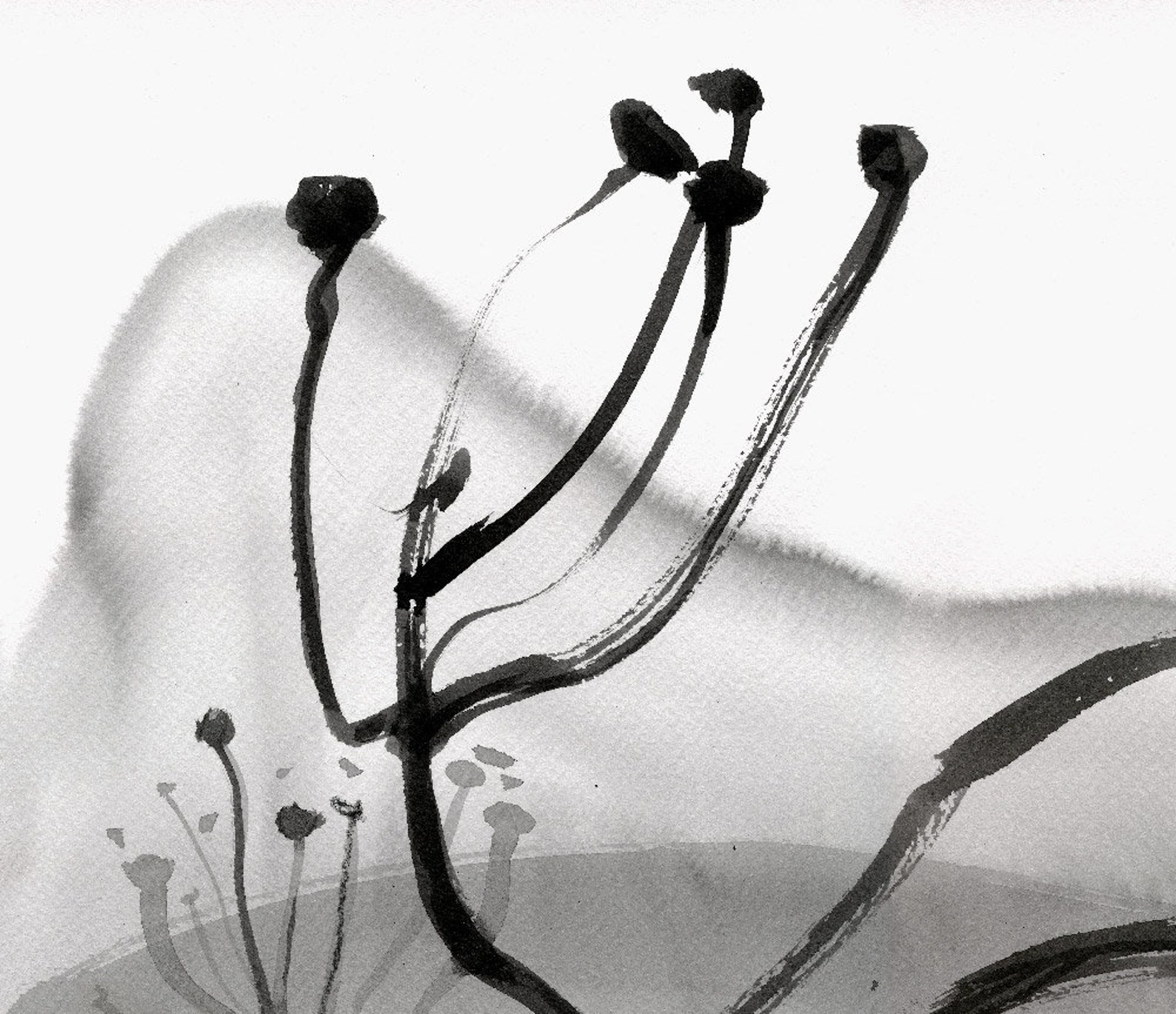 Original black and white flowers painting Abstract floral | Etsy