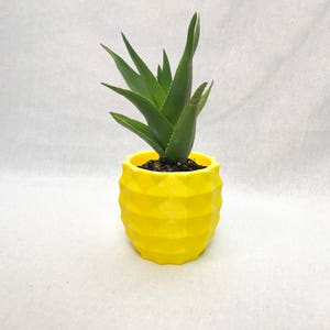 Pineapple planter/geometric planter/pineapple decor/succulent/fathers day gift/gift for her/modern planter/air plant/indoor planter