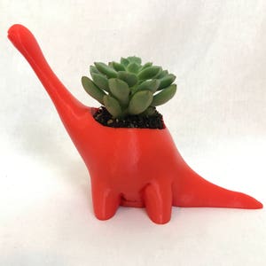 Dino planter/Dinosaur Planter/dinosaur decor/animal planter/mothers day gift/mini planter/gift for her/indoor planter/cactus planter/garden