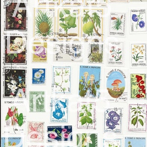 136 Sellos postales de naturaleza, descarga instantánea imprimible, efímera digital, collage, adornos de diarios basura, sellos postales vintage