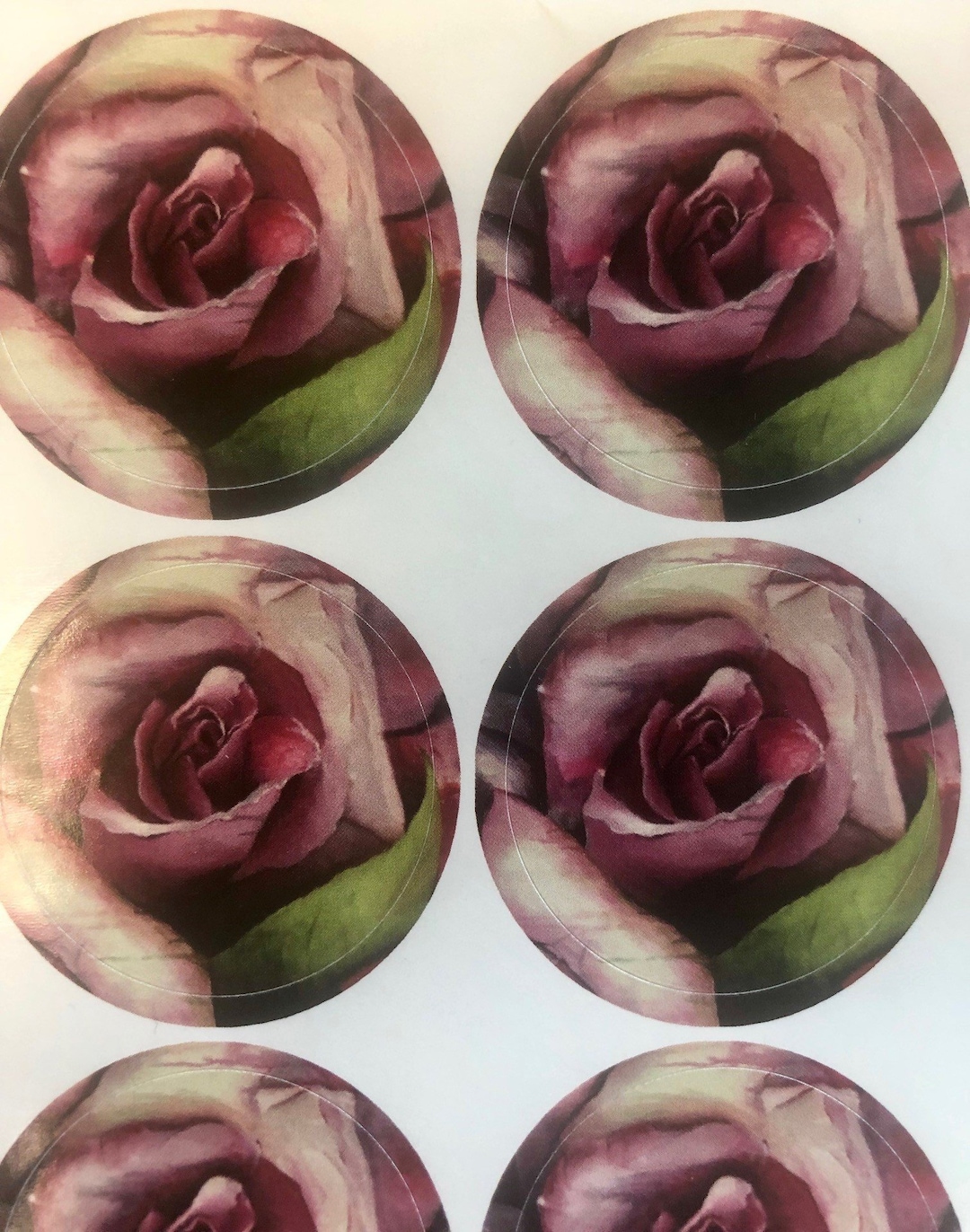 Stickers Floral Stickers Note Card Stickers Stationary - Etsy