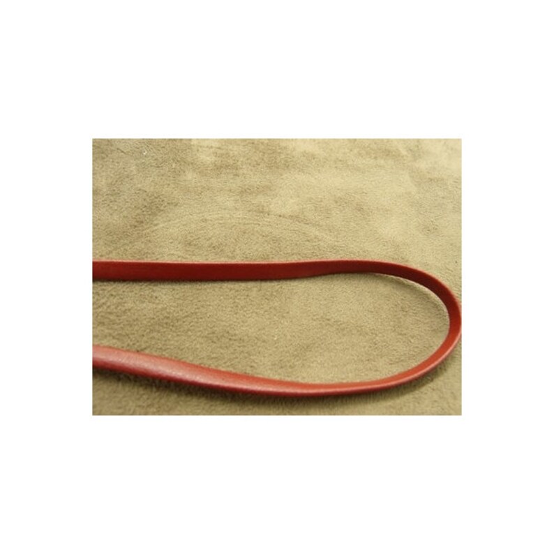 May include: A thin, smooth, red strap with a rounded profile, curved into a U-shape. The strap features a consistent width and a matte finish, showcasing a simple, minimalist design element that is detached from any larger object or structure.
