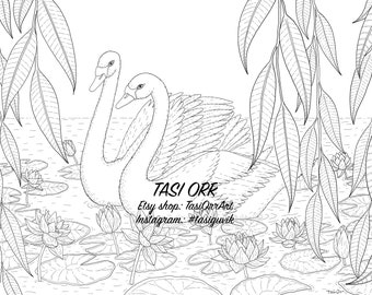 Swans in Pond // Coloring Page // Digital print for instant download