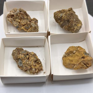 Puede incluir: Cuatro especímenes minerales distintos de textura rugosa se muestran individualmente en cuatro pequeñas cajas de cartón blanco cuadradas. Cada fragmento de roca presenta tonos tierra de marrón, bronceado y ocre con inclusiones cristalinas visibles.