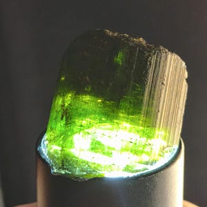 Pode incluir: Um cristal de turmalina verde vibrante e translúcido com estrias verticais na lateral, iluminado por baixo por uma fonte de luz brilhante. A gema bruta exibe um tom esmeralda profundo no topo, transicionando para um verde claro brilhante e luminoso na base, onde a luz atravessa a estrutura mineral.
