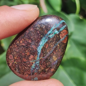 May include: A polished, oval-shaped gemstone with a rich, earthy color palette. The stone features a deep brown base, accented with streaks of teal and hints of red and gold. The smooth surface is held between fingers.