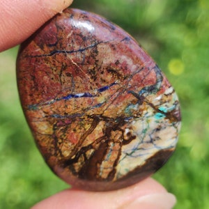 May include: A polished, oval-shaped stone featuring a complex pattern of deep red, brown, and cream colors. The surface is marked by intricate, dark brown to black veining and thin, vibrant blue streaks that run across the multi-colored mineral texture.