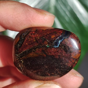 May include: A smooth, oval-shaped, dark brown stone with iridescent blue, green, and red patterns.