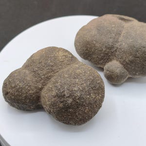 Pode incluir: Duas pedras castanhas formadas naturalmente com uma superfície rugosa e texturizada. Cada pedra apresenta uma forma arredondada e multilobada, semelhante a um grupo de pequenas esferas ligadas. Têm um aspeto mate e tons terra.