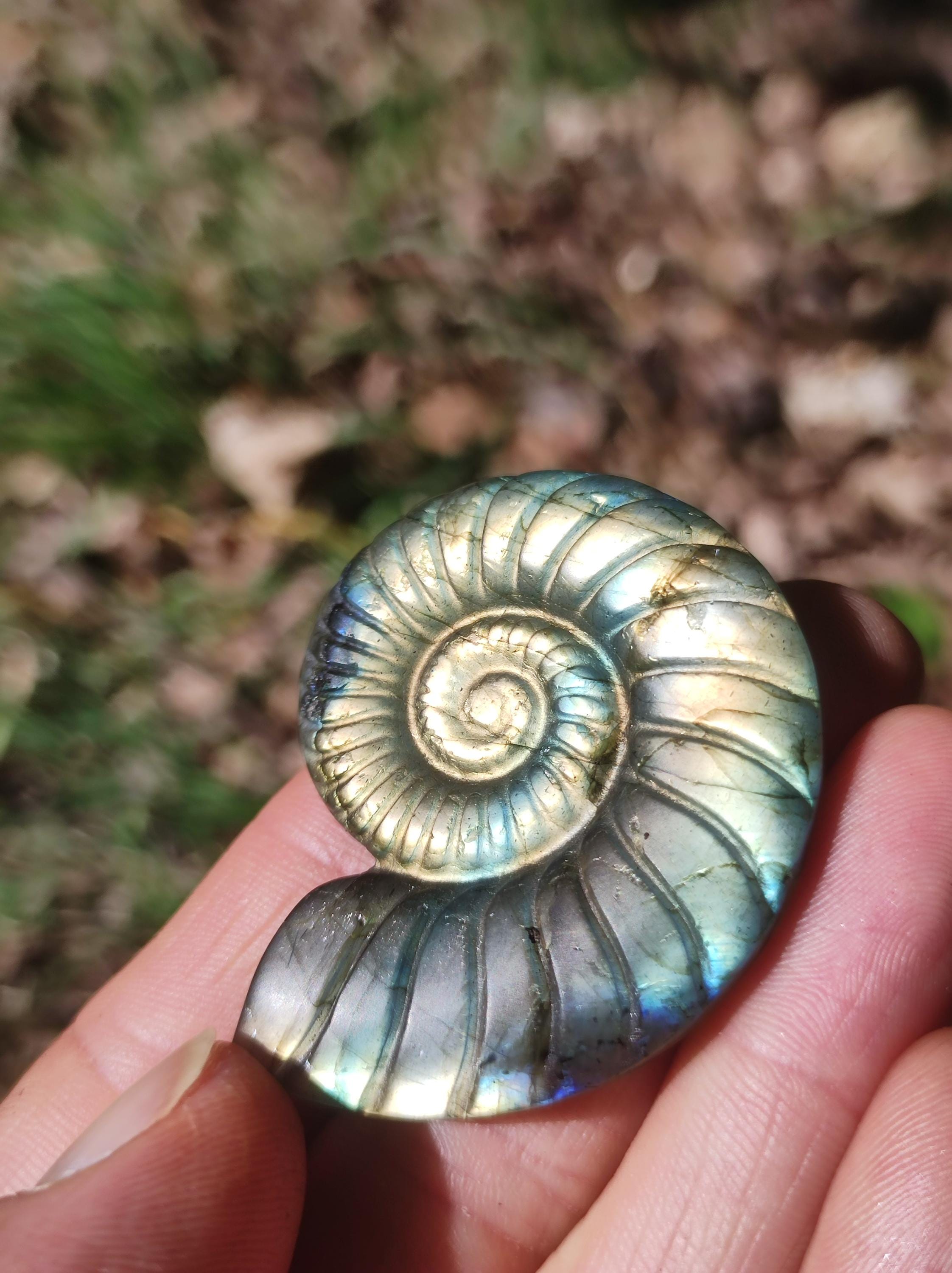 ラブラドライト AAA - 宝石 アンモナイト 装飾水晶玉 瞑想 ヒーリング