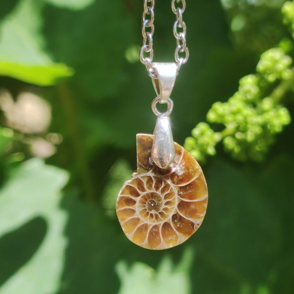 Ammonite Snail ~ 925 Sterling Silver ~ Pendant Necklace ~HIPPIE ~GOA ~Boho ~Ethno ~Nature ~Healing Stone ~Fossil ~Spiral