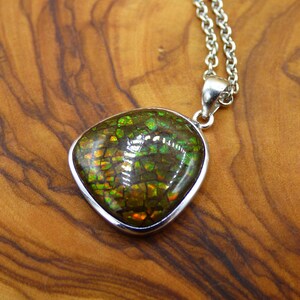 Dije Ammolita Nautilus De Colores En Plata De Ley | Envío Gratis