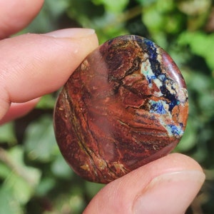 May include: A polished, rounded stone featuring a deep reddish-brown base color with intricate, dark brown veining and vibrant patches of bright blue and white mineral inclusions across its smooth, glossy surface, showcasing natural geological patterns.