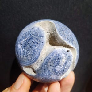Blue Coral *Rarity - Gemstone Ball Decoration Sphere Crystal Collector Meditation Healing Stone Woman Man Gift He She House Energy Unique