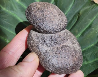 May include: A dark brown, rough-textured stone object composed of two rounded, stacked segments. The surface of the stone displays a granular, weathered appearance with natural indentations and a matte finish, creating a stacked, organic form.