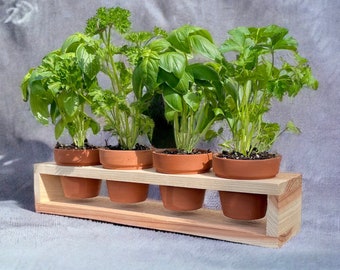 Herb Garden Planter Set with Wood Holder & 4 Pots, Indoor Outdoor Herb Garden