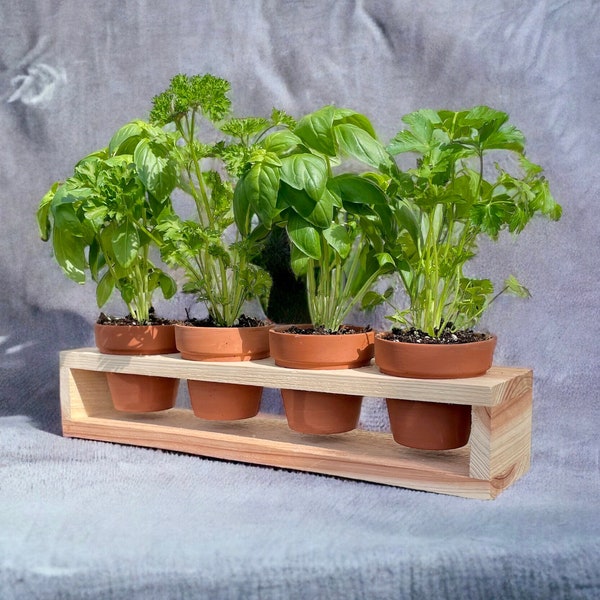 Herb Garden Planter Set with Wood Holder & 4 Pots, Indoor Outdoor Herb Garden