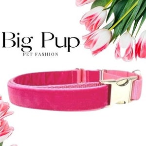 Personalized, Fall, Hot Pink, Velvet, Custom, Buckle Martingale Collar, Girl, Engraved, Cute, Designer, Puppy Collar, Greyhound, Whippet,
