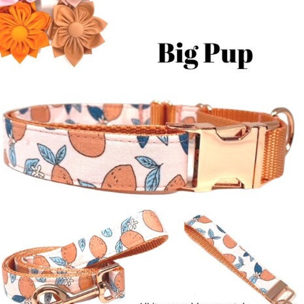 Custom, Buckle, Martingale Dog Collar, Girl, Pink, Peach, Orange, Lemon, Cute, Engraved, Personalize, Designer, Puppy, Small, Large, Fabric