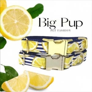 Limón azul y amarillo, Fruta, Personalizado, Collar para perro, Niña, Personalizar, Grabar, Bonito, Diseñador, Cachorro, Gato, Mascota, Pequeño, Mediano, Grande, Tela
