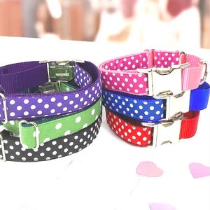 Custom, Buckle Martingale Collar, Polka Dot, Girl, Boy, Designer Dog Collar, Personalize Dog Collar, Puppy Collar, Cute Dog Collar, Designer