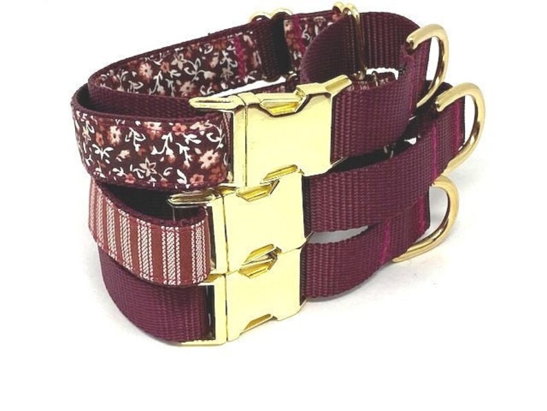 Martingale Dog Collar With Gold Metal Buckle Burgundy Girls Etsy