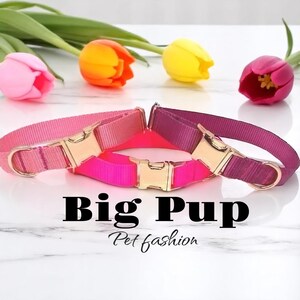 Coleira personalizada para cachorro rosa, framboesa, nylon, ouro rosa, personalizada, gravada, fofa, filhote, pequena, média, grande, coleira para cachorro com nome