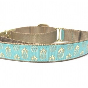 Ananas, Martingale Halsband, Schnalle, Hundehalsband Mädchen, Junge, Welpen Halsband, personalisiert, graviert, Individuell, Designer, süßer Hund, klein, groß Bild 3