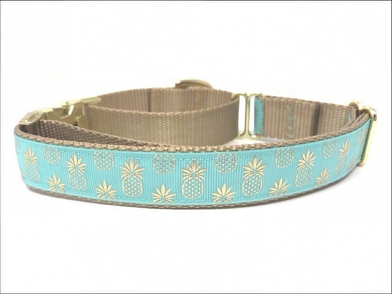 Ananas, Martingale Halsband, Schnalle, Hundehalsband Mädchen, Junge, Welpen Halsband, personalisiert, graviert, Individuell, Designer, süßer Hund, klein, groß Bild 3