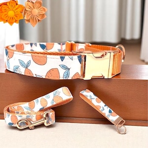 Custom, Buckle, Martingale Dog Collar, Girl, Pink, Peach, Orange, Lemon, Cute, Engraved, Personalize, Designer, Puppy, Small, Large, Fabric