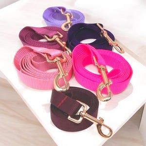 Hondenriem, 10 kleuropties, roze, paars, lavendel, lila, bordeaux, kastanjebruin, hondenriem, 5 voet, roségouden hardware
