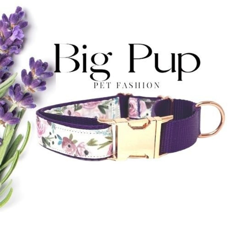 Purple Martingale Dog Collar Rose Gold Buckle Lavender Etsy