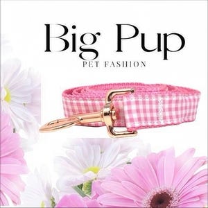Hondenriem, roze, pastel, plaid, zomer, hondenriem, riem, 5 voet, meisjes, vrouwelijk, glamour, puppy, klein, medium, groot