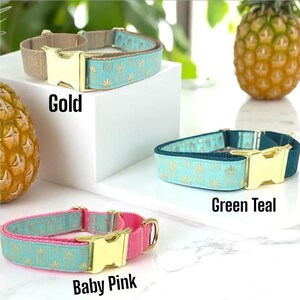 Ananas, Martingale Halsband, Schnalle, Hundehalsband Mädchen, Junge, Welpen Halsband, personalisiert, graviert, Individuell, Designer, süßer Hund, klein, groß Bild 4